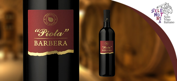 BARBERA “PIOTA” OLTREPO PAVESE D.O.C. “BIO”