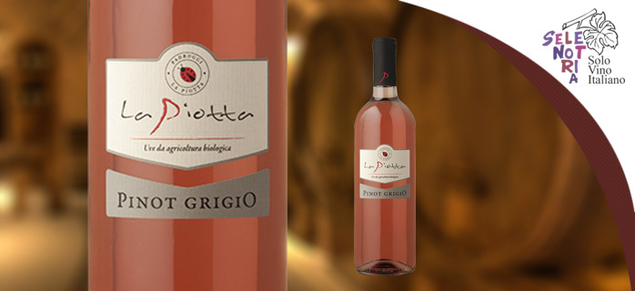 PINOT GROGIO I.G.T. “BIO”