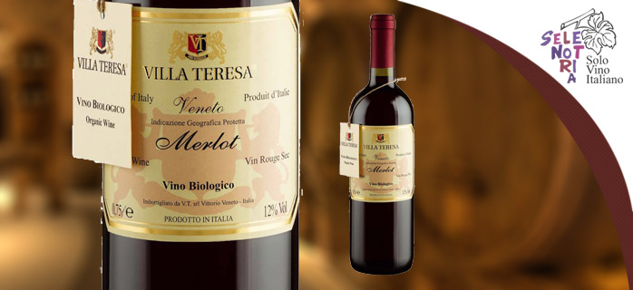 Merlot Veneto I.G.P. Biologico